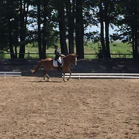 Sassi Talu Horsefarm 호텔 패르누 외부 사진