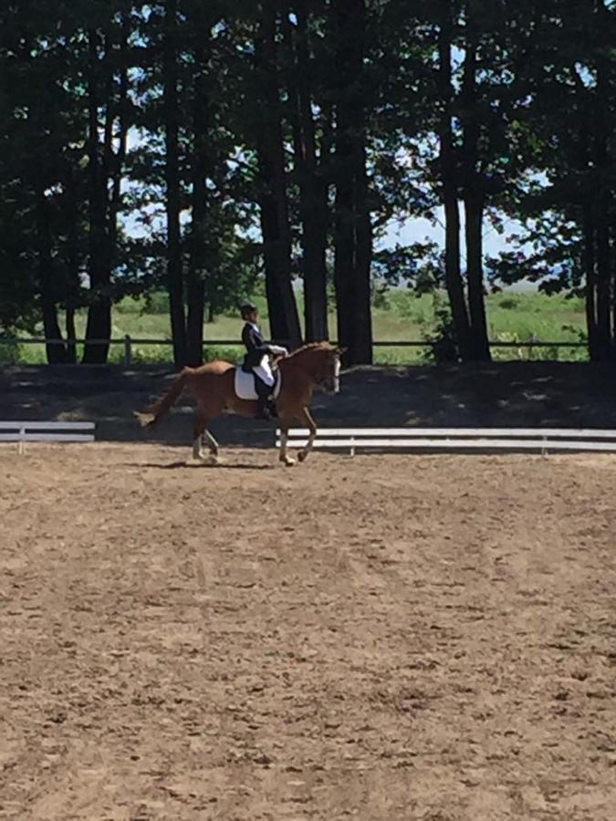 Sassi Talu Horsefarm 호텔 패르누 외부 사진