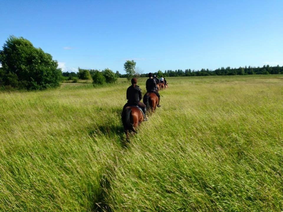 Sassi Talu Horsefarm 호텔 패르누 외부 사진